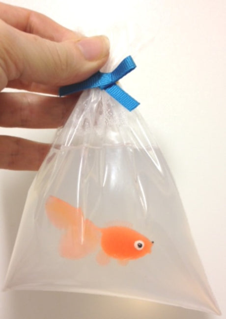 How to make Fish in a Bag Soaps