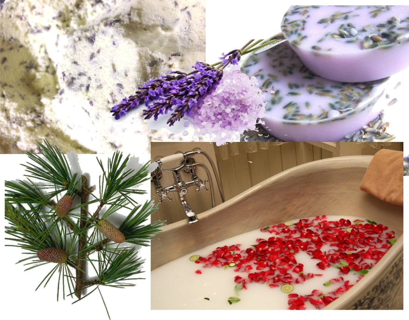 Milk Bath - Cleopatra recipes - make your own!