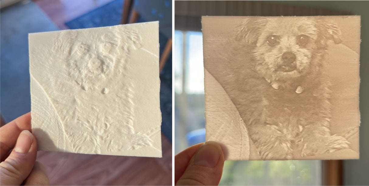 Beloved Pet /Family Member 3D Memory Print