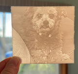 Beloved Pet /Family Member 3D Memory Print