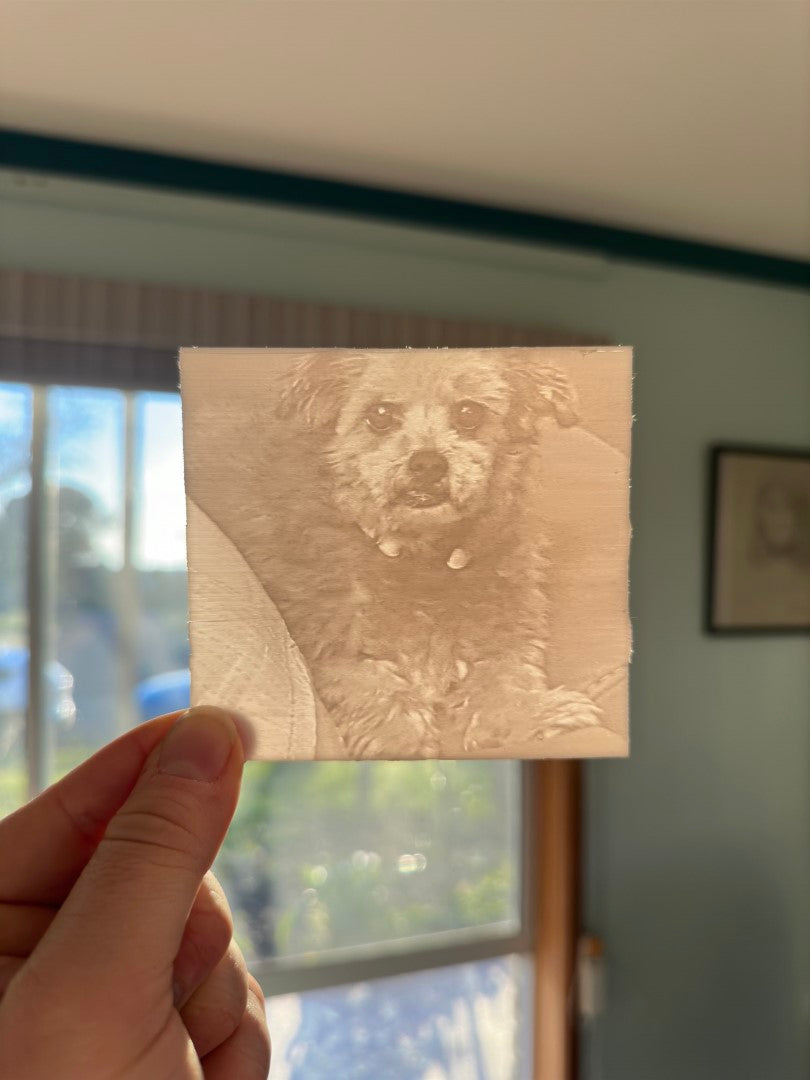 Beloved Pet /Family Member 3D Memory Print