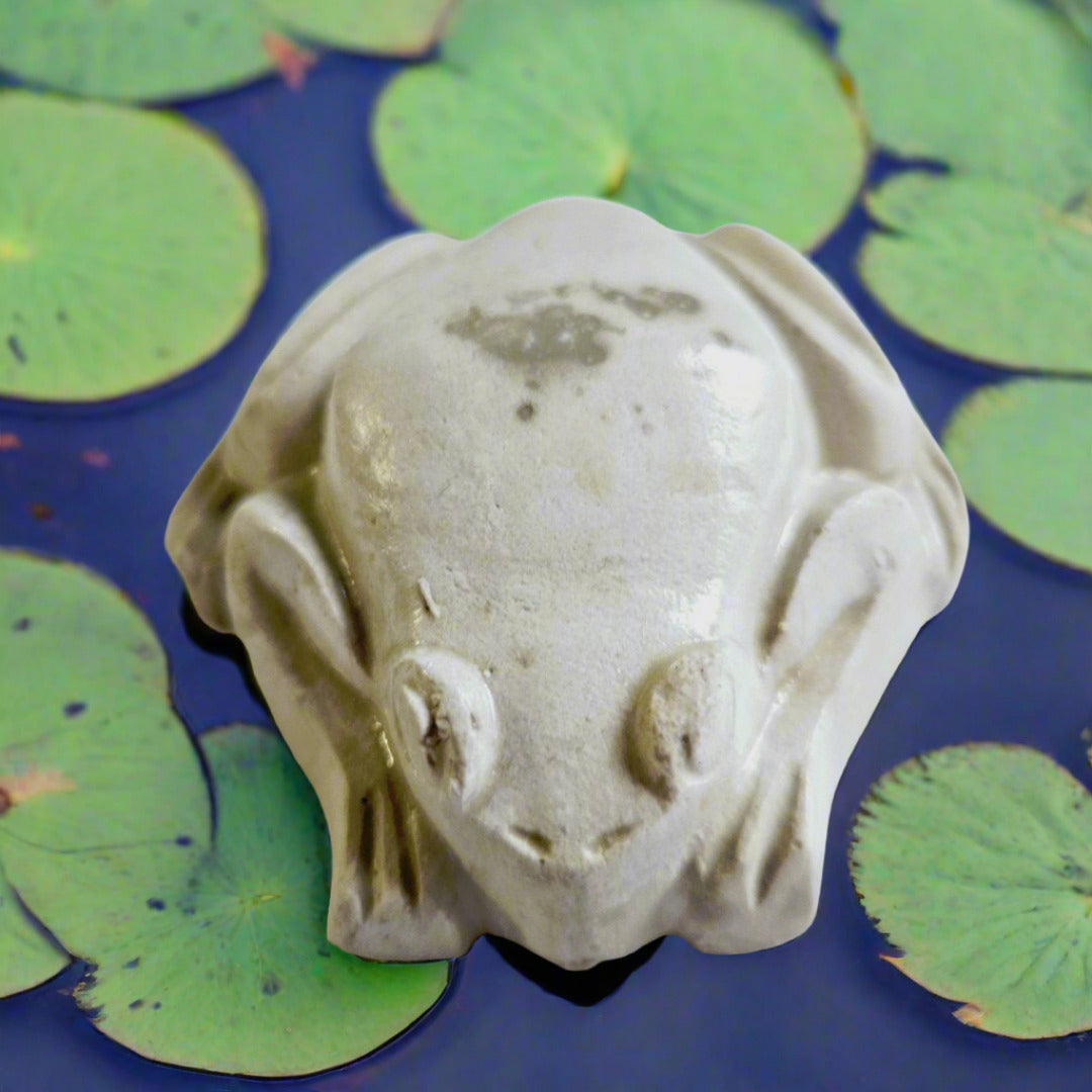 Frog Chocolate Silicone Mould