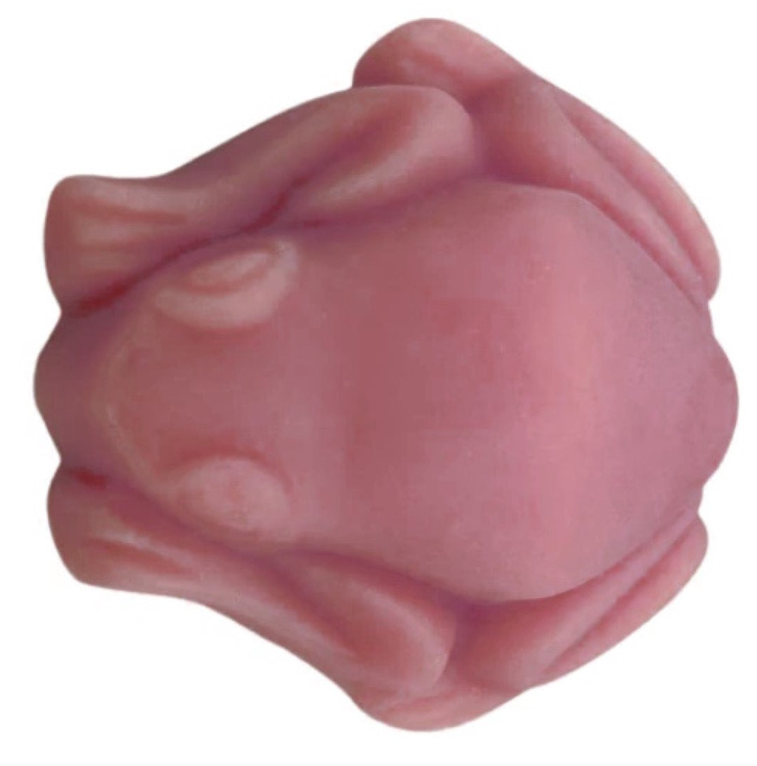 Frog Chocolate Silicone Mould