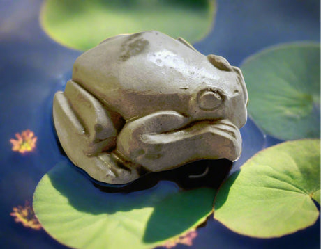 Frog Chocolate Silicone Mould