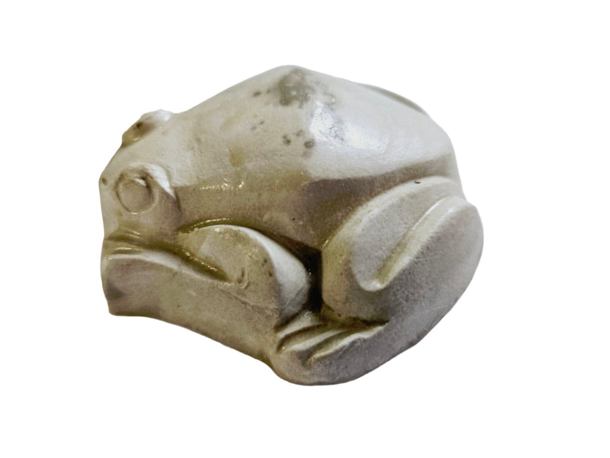 Frog Chocolate Silicone Mould