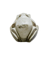 Frog Chocolate Silicone Mould