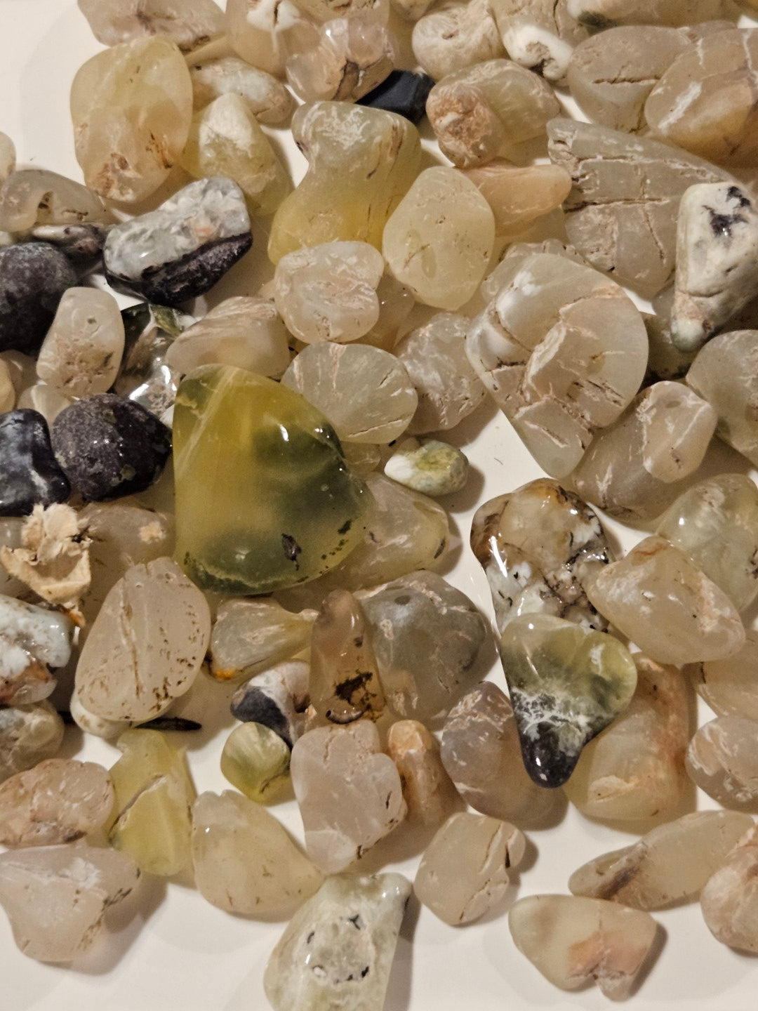 Prehnite Partly Tumbled Gems