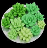 Succulents Melt & Pour Soap Kit - MP Soap Base, Mould, Fragrance, 2 Colour Bricks