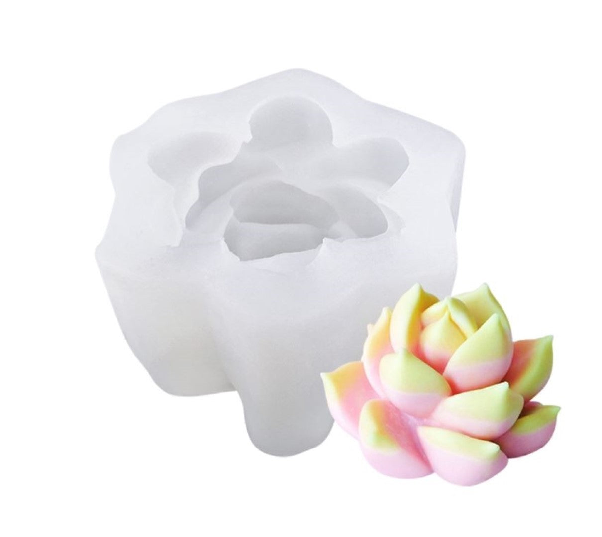 Succulents Melt & Pour Soap Kit - MP Soap Base, Mould, Fragrance, 2 Colour Bricks