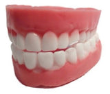 Dentures / False Teeth Silicone Mould