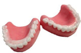 Dentures / False Teeth Silicone Mould