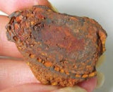 Yowah Nut Matrix Boulder Opal x 10