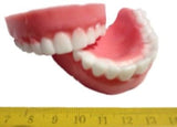 Dentures / False Teeth Silicone Mould