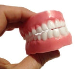 Dentures / False Teeth Silicone Mould