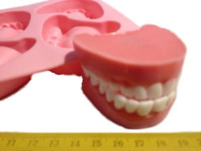 Dentures / False Teeth Silicone Mould