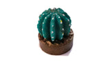 Cactus in Pot Silicone Mould