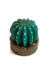 Cactus in Pot Silicone Mould