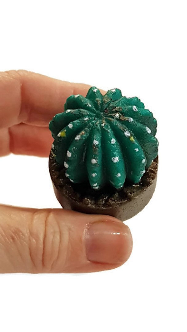 Cactus in Pot Silicone Mould