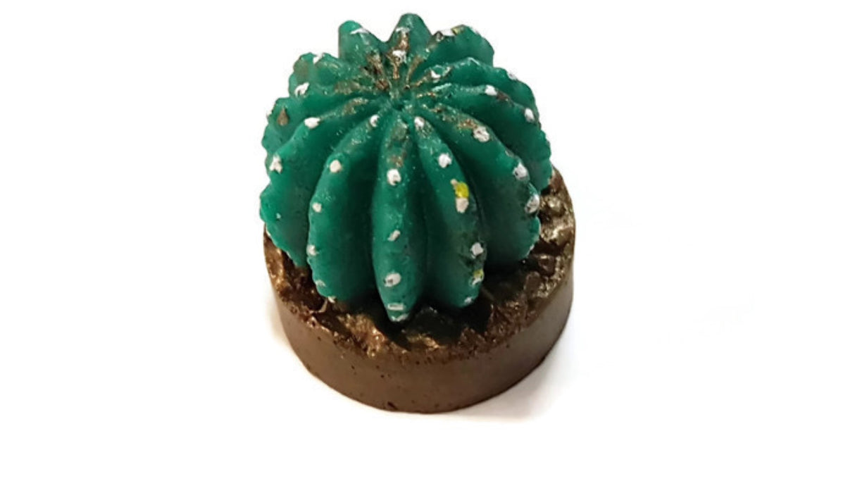 Cactus in Pot Silicone Mould