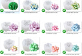 CACTUS BALL 187 Silicone Mould