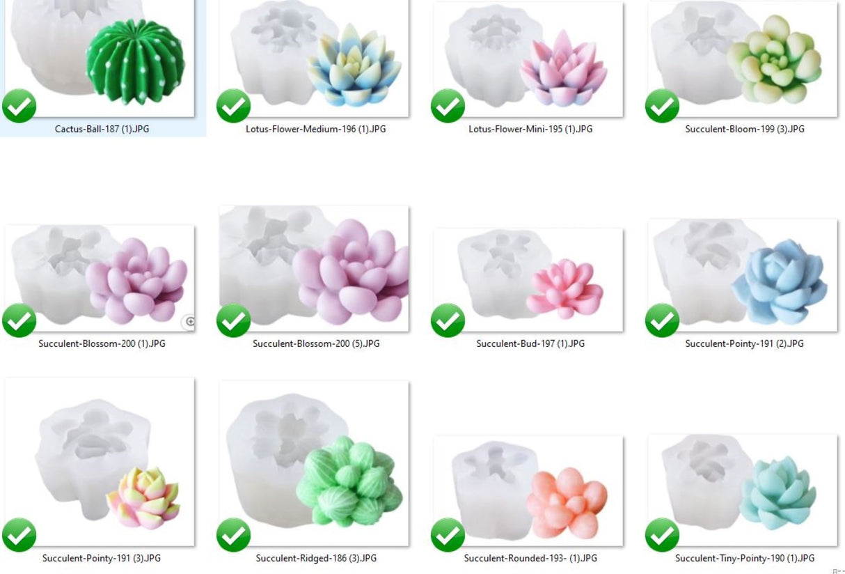 SUCCULENT ROUND Cactus 193 Silicone Mould