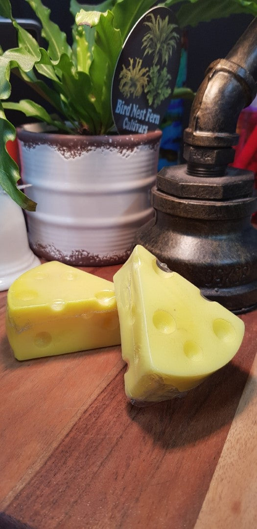 Cheese Soap Bar