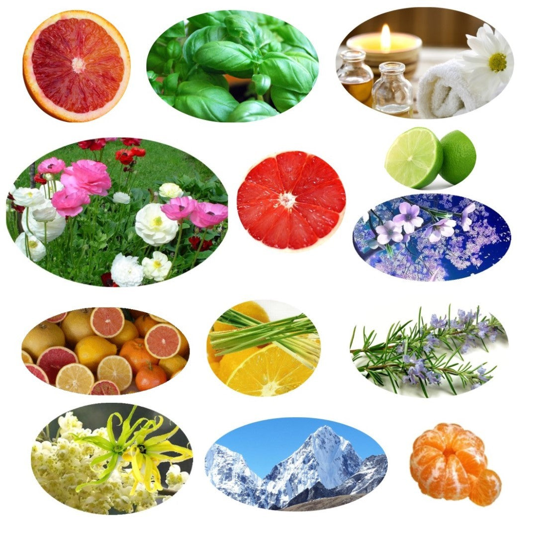 Essential Oils (10 Varieties) Kit