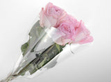 Florist Clear Sleeves