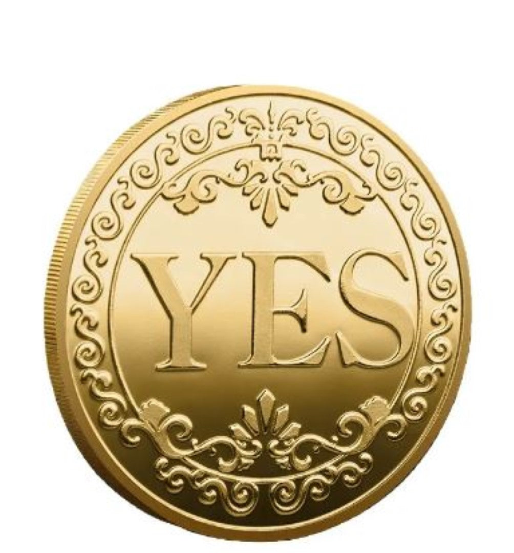 YES NO Fortune Telling Prediction Coin Gift Boxed Blessed