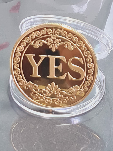 YES NO Fortune Telling Prediction Coin Gift Boxed Blessed