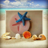 Starfish Mini Silicone Mould