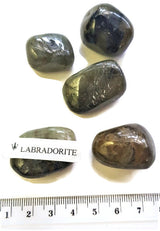 Labradorite Polished Gemstone