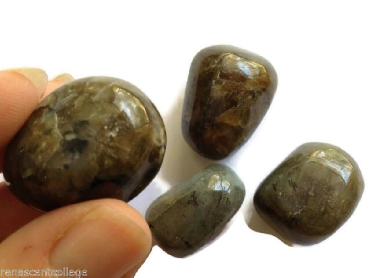 Labradorite Polished Gemstone