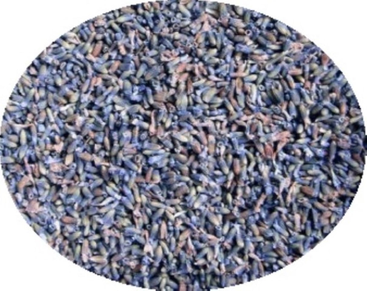 Lavender Flower Buds Dried