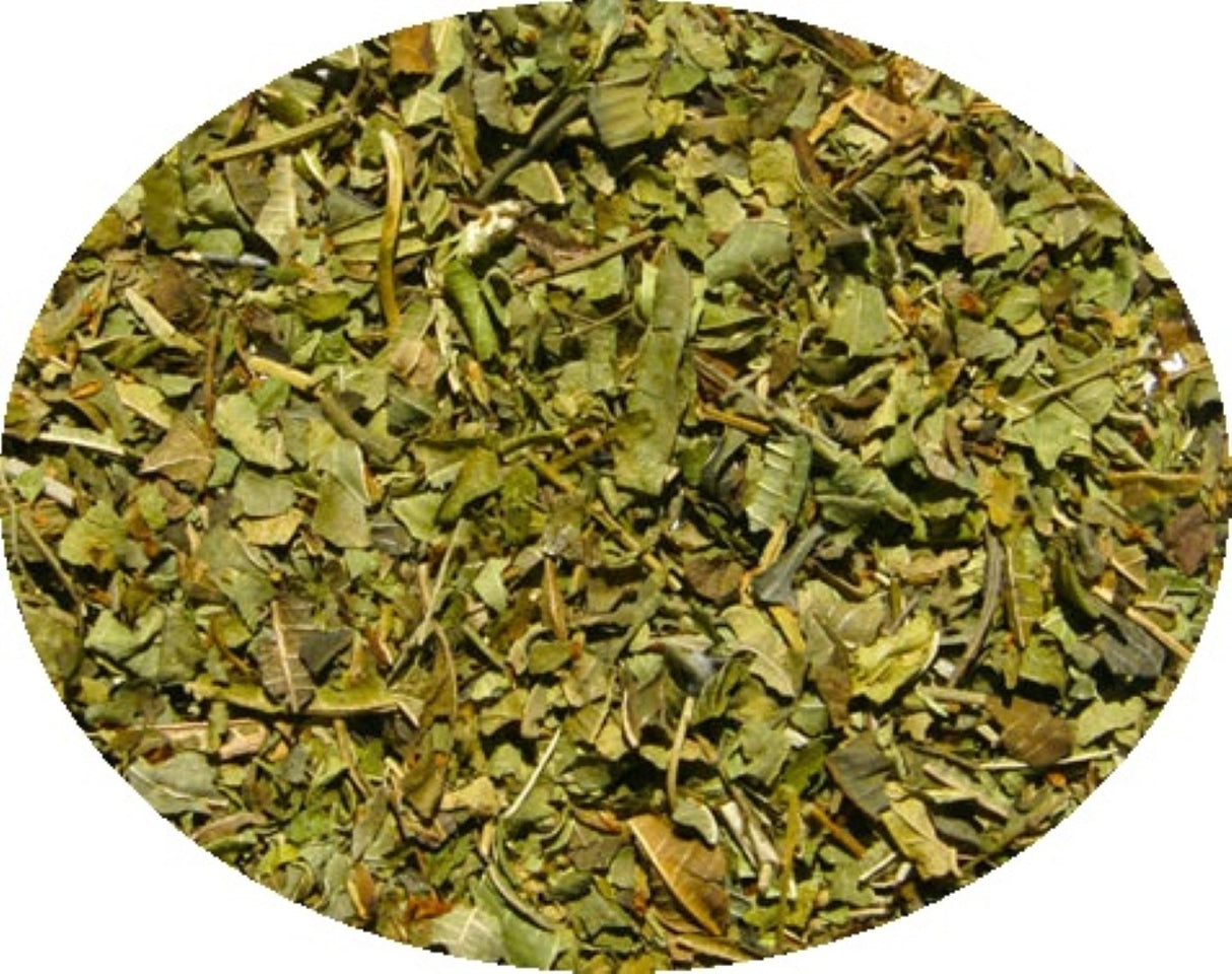 Lemon Myrtle Dried SUPER SPECIAL CLEARANCE