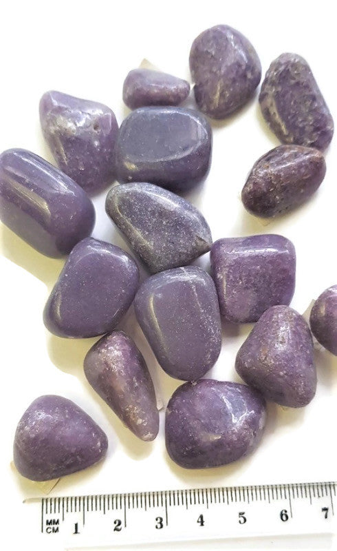 Lepidolite Tumbled Polished Gemstone Specimen x3