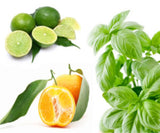 Basil, Lime, Mandarin Fragrant Oil