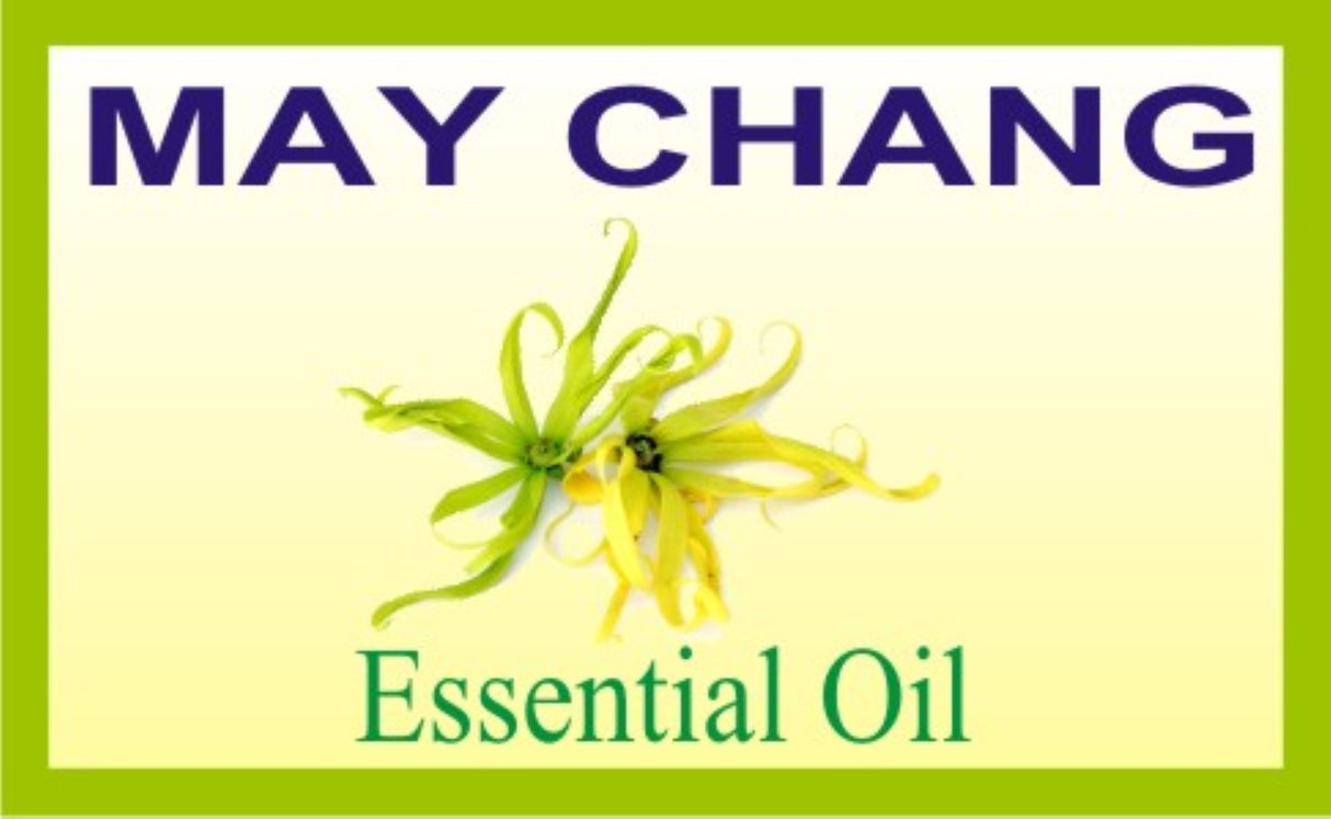 May Chang Essential Oil (Litsea Cubeba)