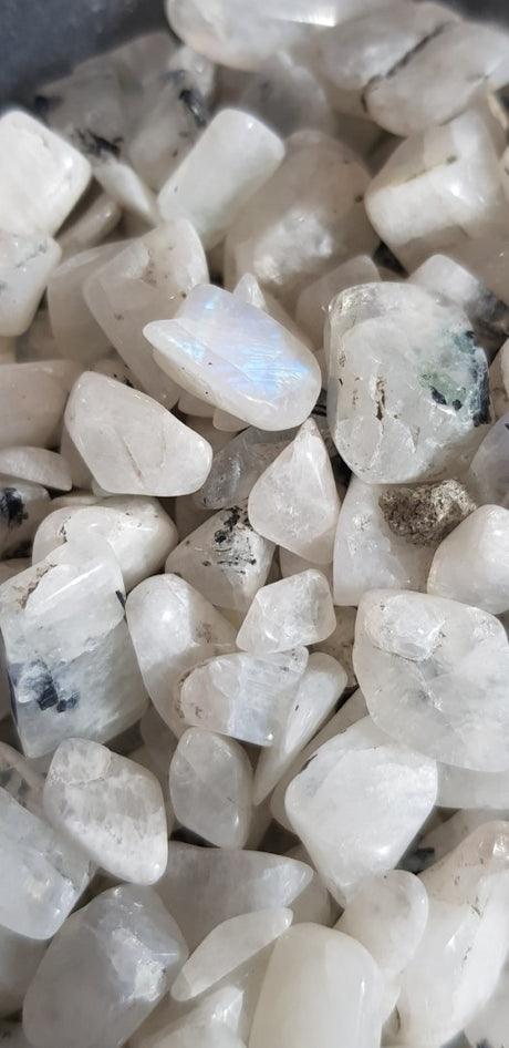 Tumbled Gem Chips Tiny 50gm - You Choose Stones