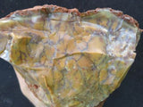 Opalite Dentritic Natural Rough Gemstone Specimen