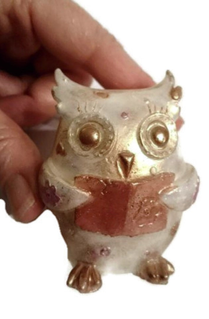 Owl Reading Silicone Mould