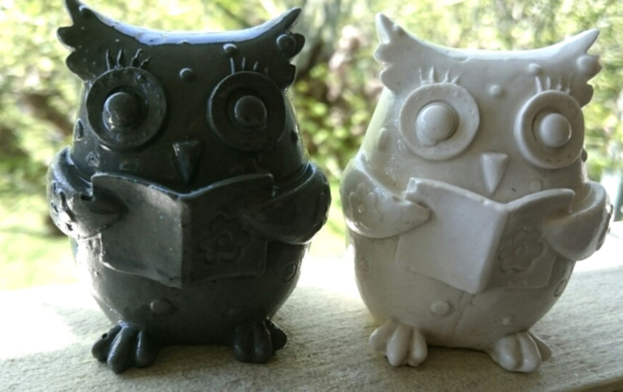 Owl Reading Silicone Mould