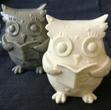 Owl Reading Silicone Mould