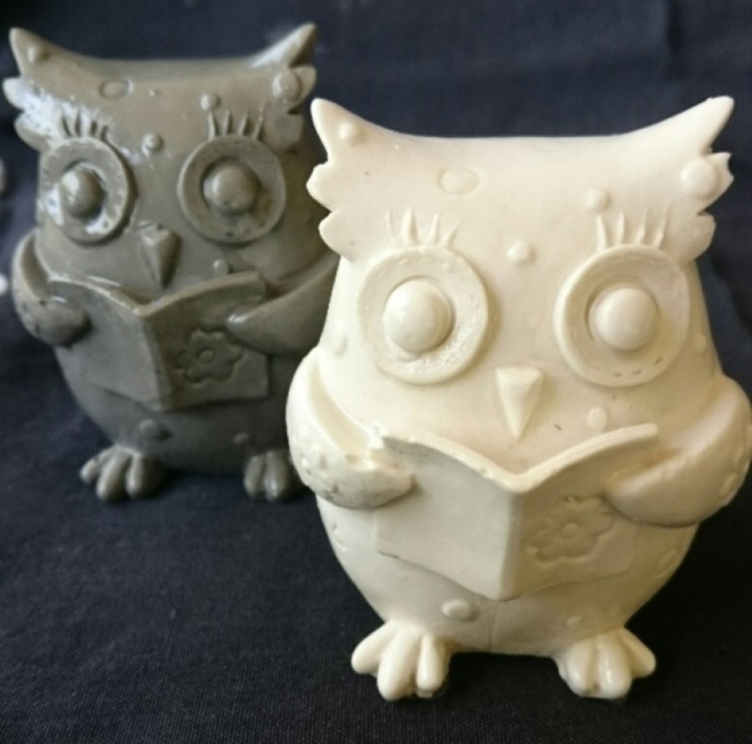 Owl Reading Silicone Mould OVERSTOCK SPECIAL