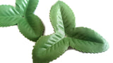 Rose Leaf, 3 Petaled Leaves