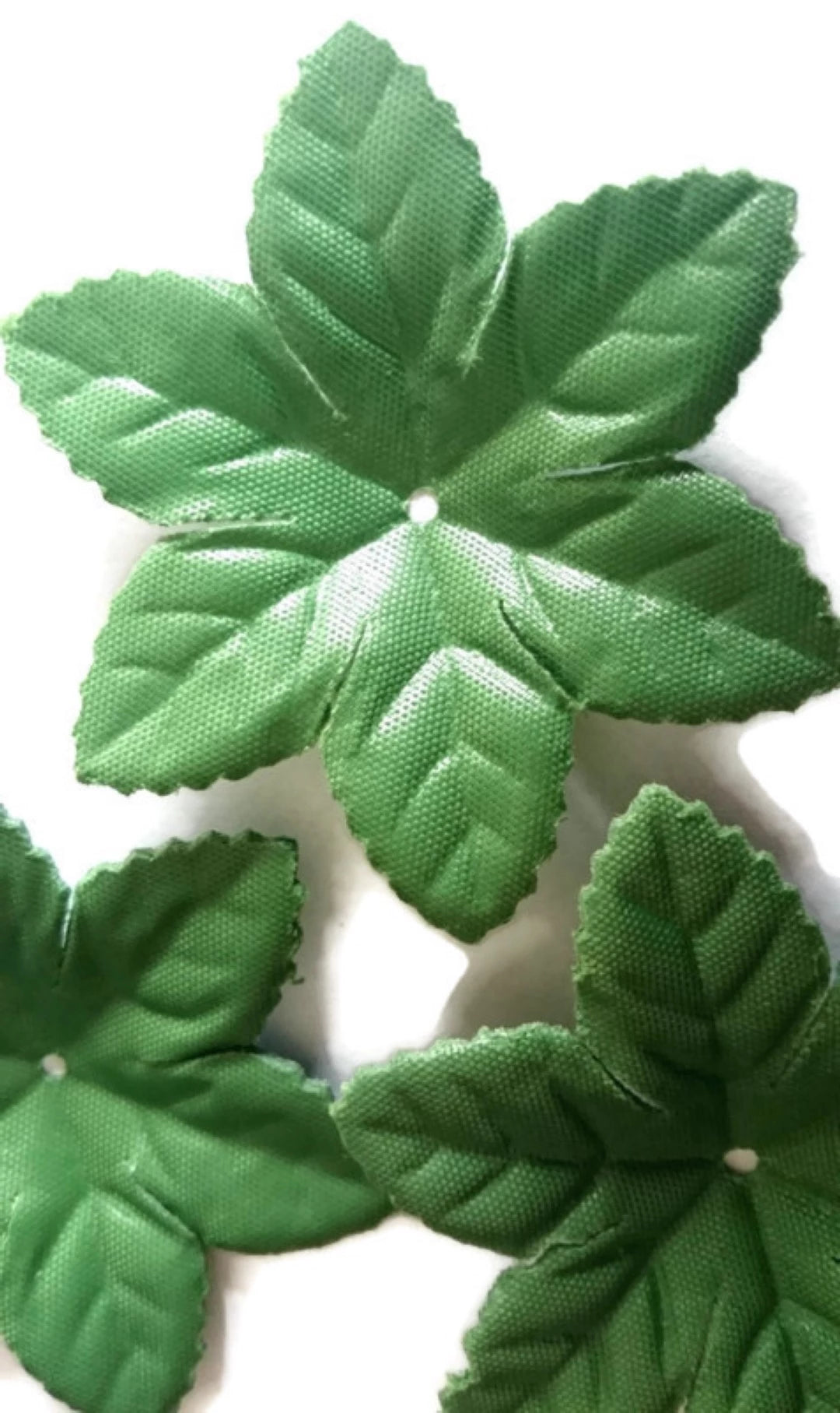 Rose Leaf, 6 Petaled Leaves