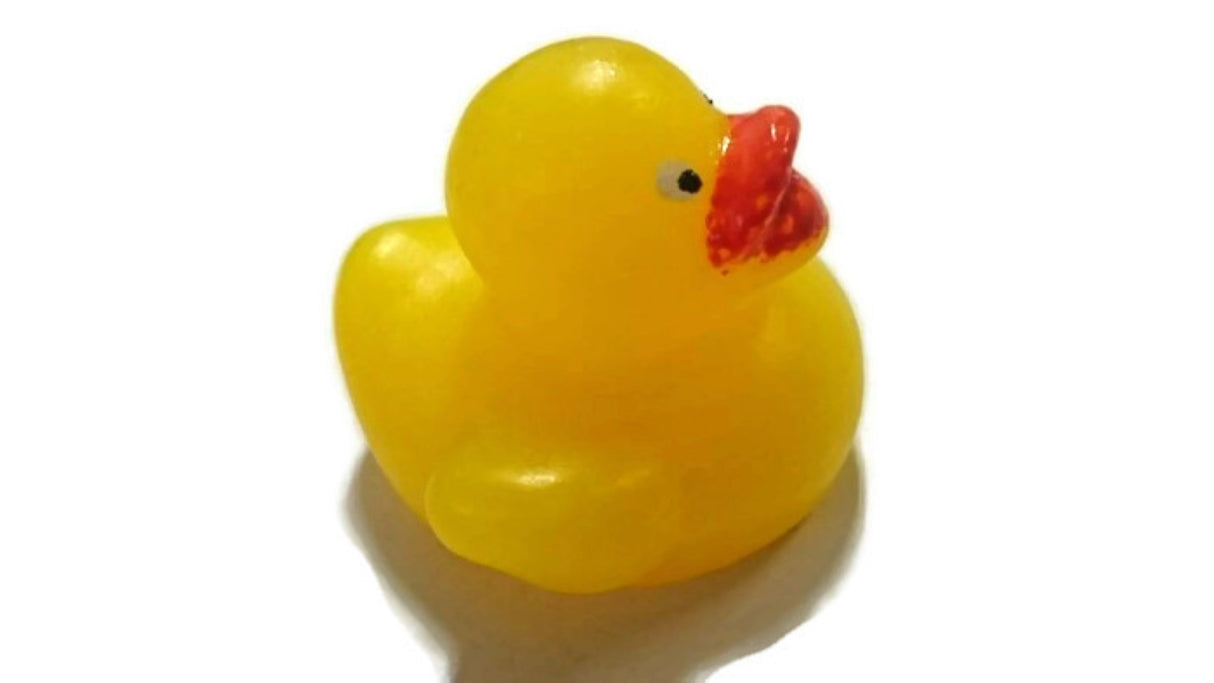 Rubber Duckie Large Silicone Mould