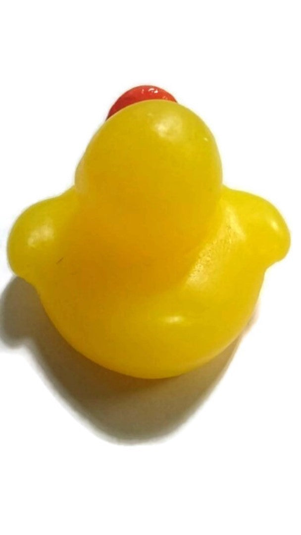 Rubber Duckie Large Silicone Mould