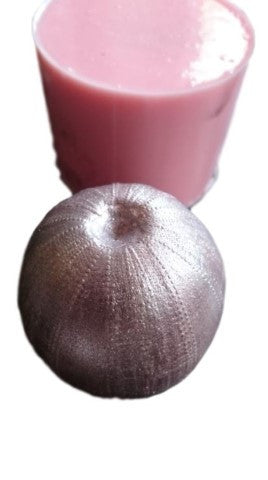 Sea Urchin (Large) Silicone Mould