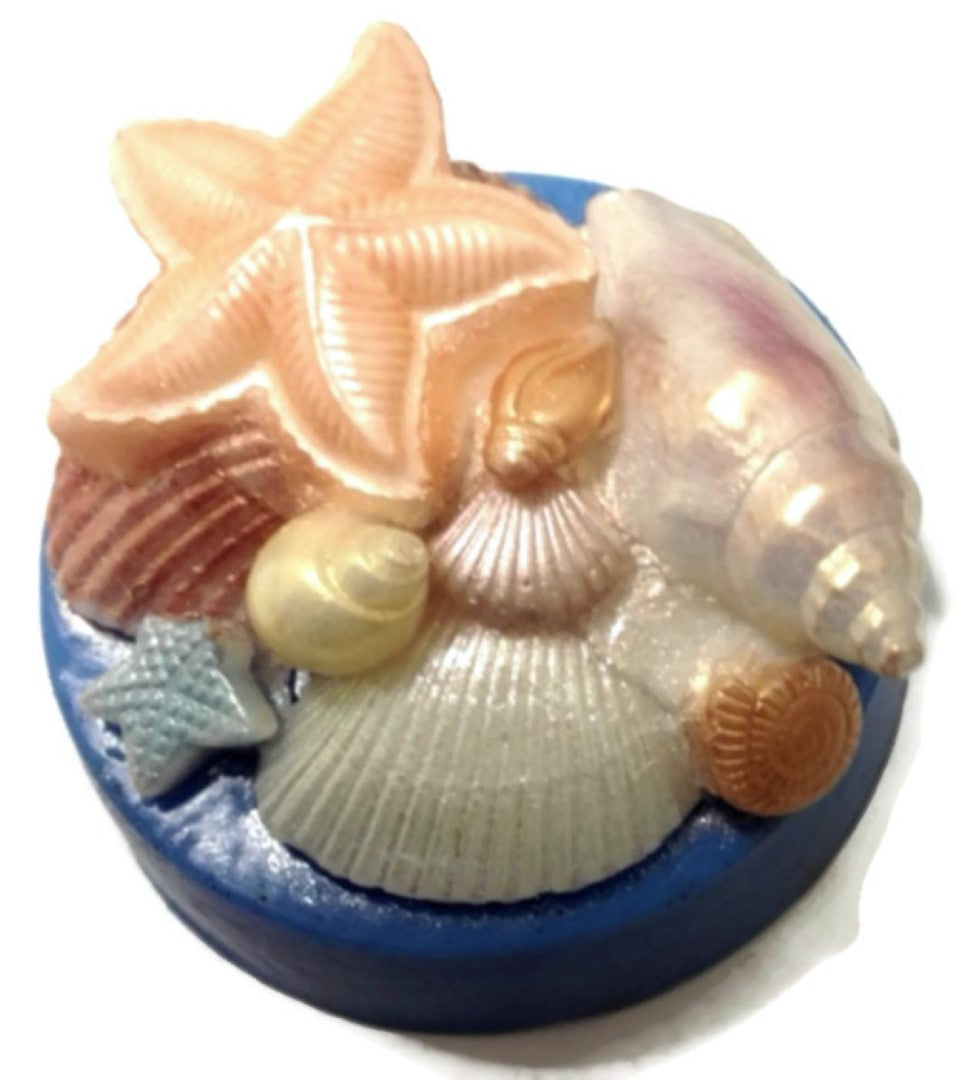 Seaside Scene Shells Silicone Mould